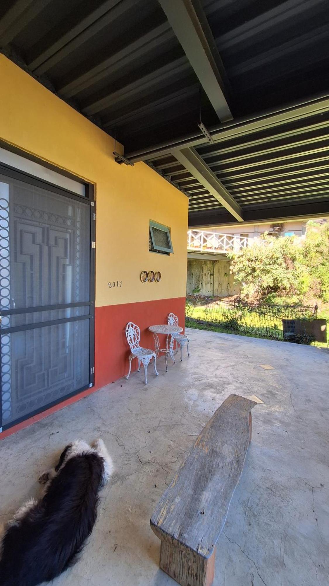 Moose & Squirrel Bed & Breakfast Renai Bagian luar foto